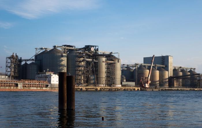 трейдер сельскохозяйственной продукции поставщик курицы