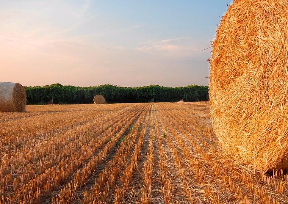 YFO4Cx4Xtfg.jpg YFO4Cx4Xtfg.jpg